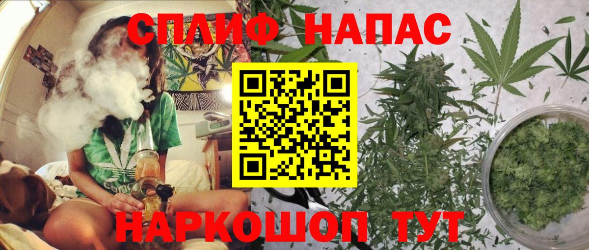 Бошки Шишки сатива Энгельс